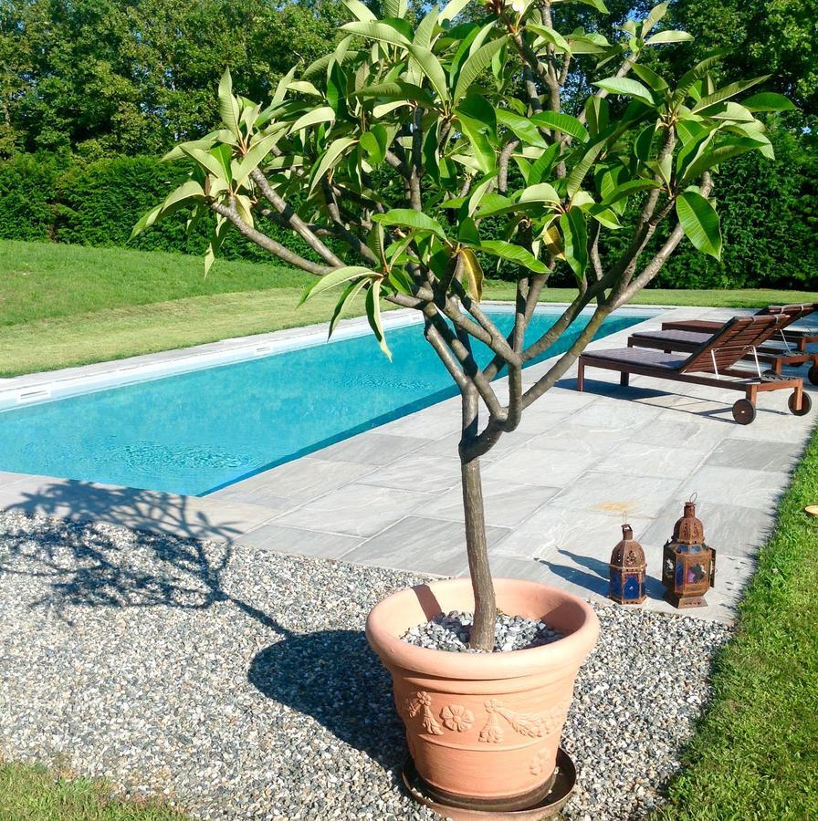 Bed and Breakfast Alla Gazza Ladra Prato Sesia Zimmer foto